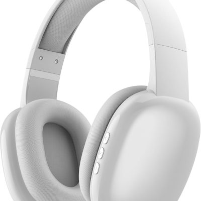 Wireless Over Ear Bluetooth Headphones with Microphone - Wireless Headset -Noise Reduction - Bluetooth, Wired,Built in Micro SD for Travel, Home, Work TV,PC,Gaming,Cellphone (Silver)